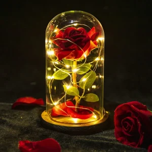 Regalo di San Valentino per la tua ragazza: Rosa eterna con luce LED, copertura in vetro con foglia d'oro. Ideale anche come regalo per la festa della mamma, matrimoni e damigelle d'onore.